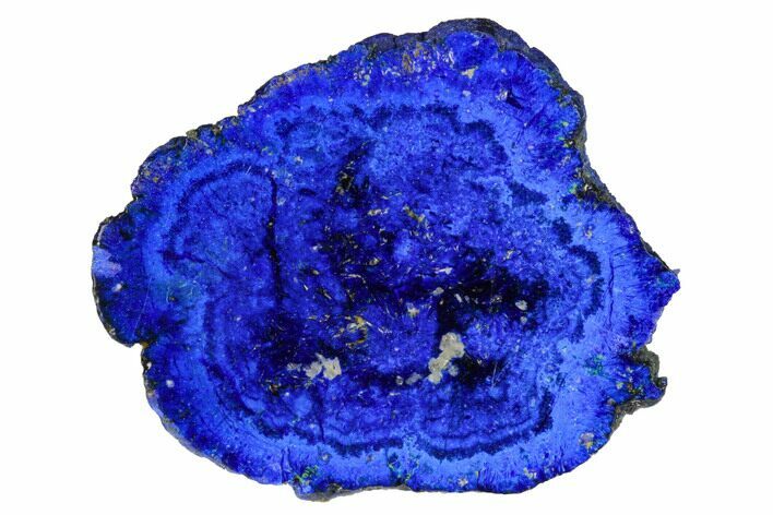 Vivid Blue, Cut/Polished Azurite Nodule - Siberia #175544